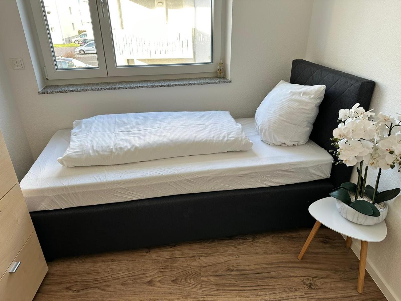 Appartement Grosse Cozy 4-Zi-Whg Mit Balkon Naehe Europa Park Und Rulantica à Lahr/Schwarzwald Extérieur photo
